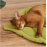 Autumn and winter thickened leaf shape pet floor mat cat pet mat cotton fabric kennel cat mat